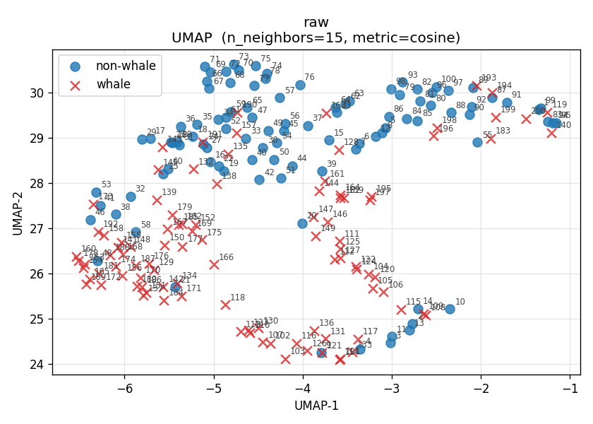 UMAP plot of Perch embeddings from MBARI data